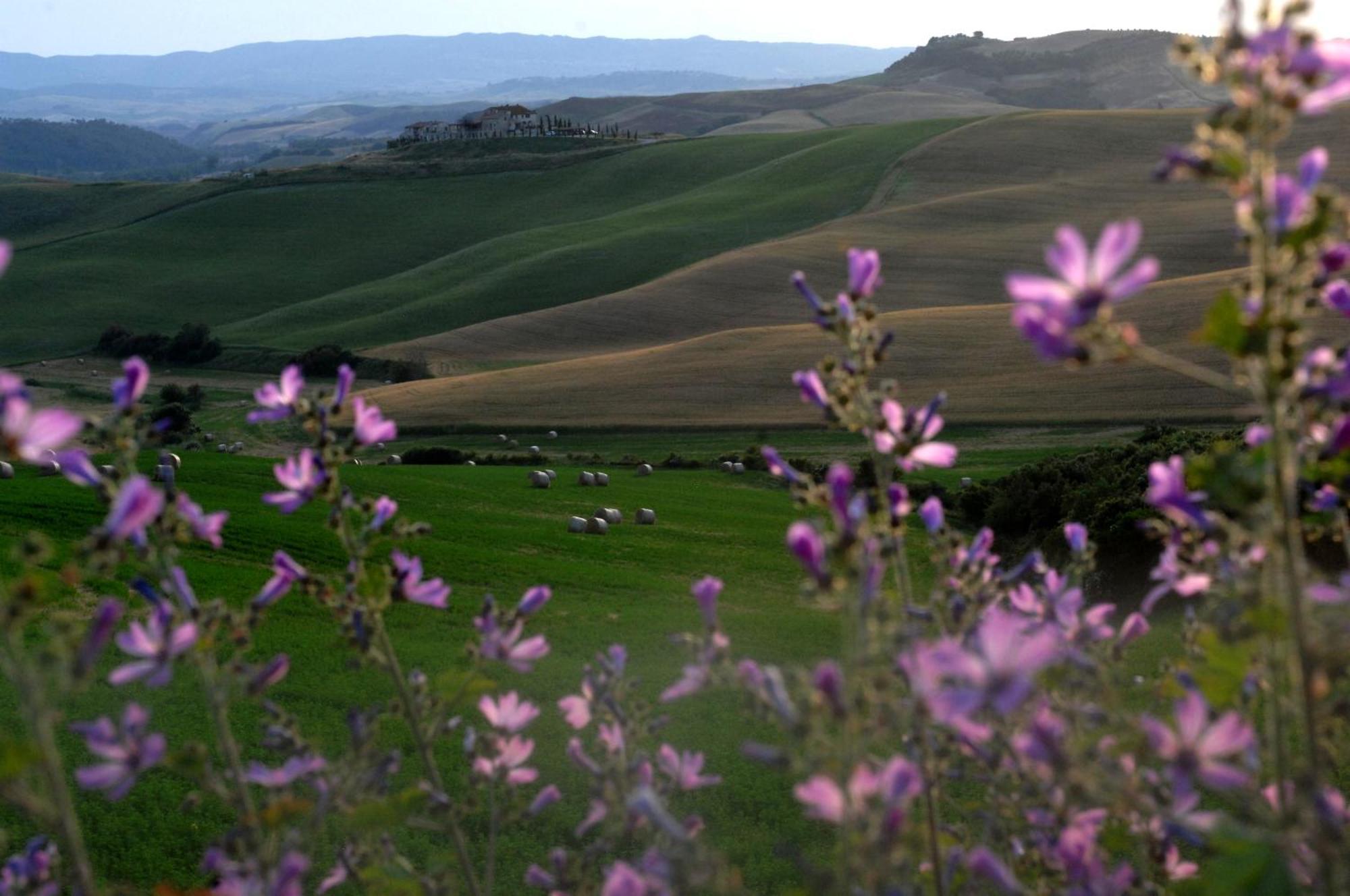 Agrihotel Il Palagetto Volterra Exteriér fotografie